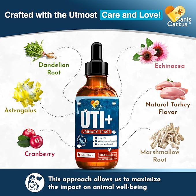 Dog UTI Treatment – Liquid Cat & Dog Vitamins – Bundle Multivitamin + UTI+ with Turkey Flavor for All Pets – Promotes Bladder & Kidney Care – Full of Vitamins C, B, D – No GMO – Bottle Set x 2 oz