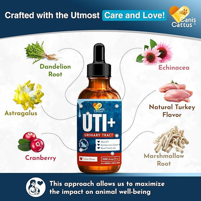Dog UTI Treatment – Liquid Cat & Dog Vitamins – Bundle Multivitamin + UTI+ with Turkey Flavor for All Pets – Promotes Bladder & Kidney Care – Full of Vitamins C, B, D – No GMO – Bottle Set x 2 oz