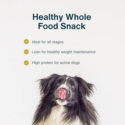 JustFoodForDogs Single Ingredient Healthy Dog Treats and Dog Snacks, Jerky Treats, Human Grade, Preservative and Grain Free, Rawhide Free Chews, Low Calorie Treat - Chicken Breast, 2.5 oz Pack of 4