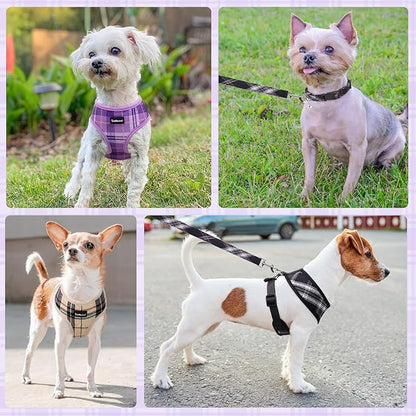 SCENEREAL No Pull Dog Harness Collar and Leash Set for Small Sized Dogs, Soft Mesh Plaid Harnesses for Fall Winter, Adjustable Pet Vest for Outdoor Walking Training and Running