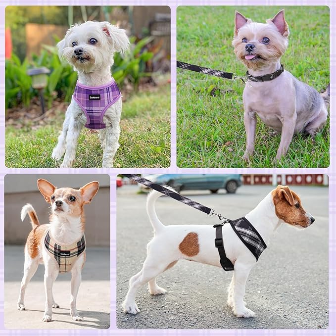 SCENEREAL No Pull Dog Harness Collar and Leash Set Small Medium Sized Dog, Soft Mesh Puppy Harnesses, No Chock Plaid Adjustable Pet Vest for Outdoor Walking Training and Running, Black M
