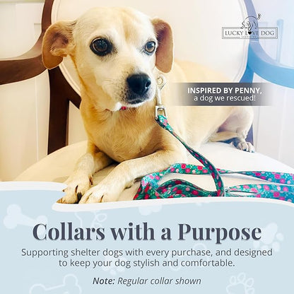 Lucky Love Dog Martingale Dog Collar - Adjustable, No-Slip, Durable, & Soft Webbing Collar for Male and Female Dogs Ideal for Training & Walking - Penny, Medium