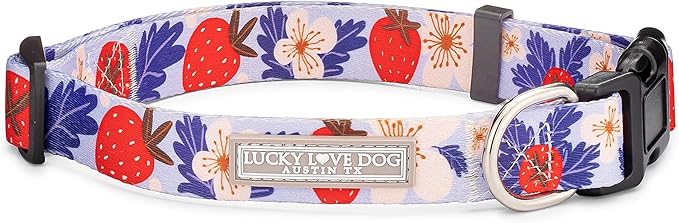 Lucky Love Dog - Adjustable Dog Collar with Easy Click Buckle for Medium, Durable, & Comfortable for Male & Female Dogs, Pet Collar for Puppies & Adult Dogs - Sweet Berry, Medium