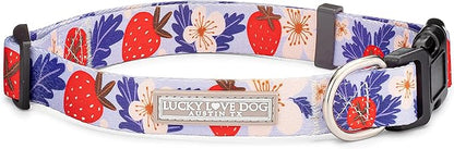 Lucky Love Dog - Adjustable Dog Collar with Easy Click Buckle for Medium, Durable, & Comfortable for Male & Female Dogs, Pet Collar for Puppies & Adult Dogs - Sweet Berry, Medium