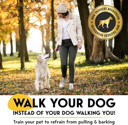 PetJett Prong Collar for Dogs - Adjustable Dog Training Collar No Pull Choke Collar for Dogs Pinch Collar for Dog Walking Tool for Small Medium, or Large Breed - Stainless Steel Metal Choker Chain