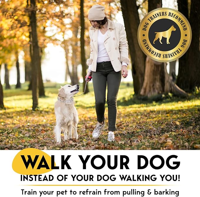 PetJett Prong Collar for Dogs - Adjustable Training Collar No Pull Choke Collar for Dogs, Pinch Collar for Dog, Walking Tool for Small, Medium, or Large Breed - Stainless Steel Metal Choker Chain