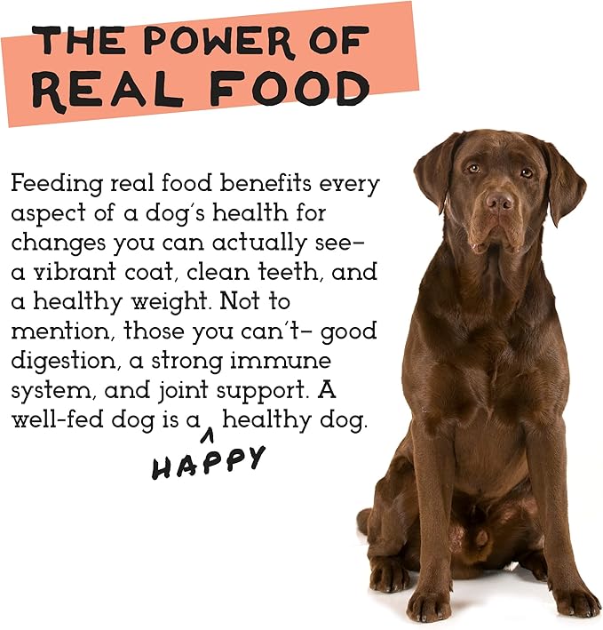 Simple Food Project - Chicken & Turkey - Freeze Dried Raw Food for Dogs - 24oz