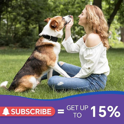 Dog Antibiotics Support - Natural Antibiotics Care for Dogs Herbal Supplement for Cough Allergy Itch Relief Immune Support Dog UTI Comfort for All Breeds & Ages - 60 ml/2 Fl Oz Bacon Flavor