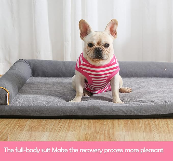 Dog Recovery Suit Post Surgery Shirt,Medium Female Spay Wound Protective Suit,Pink M