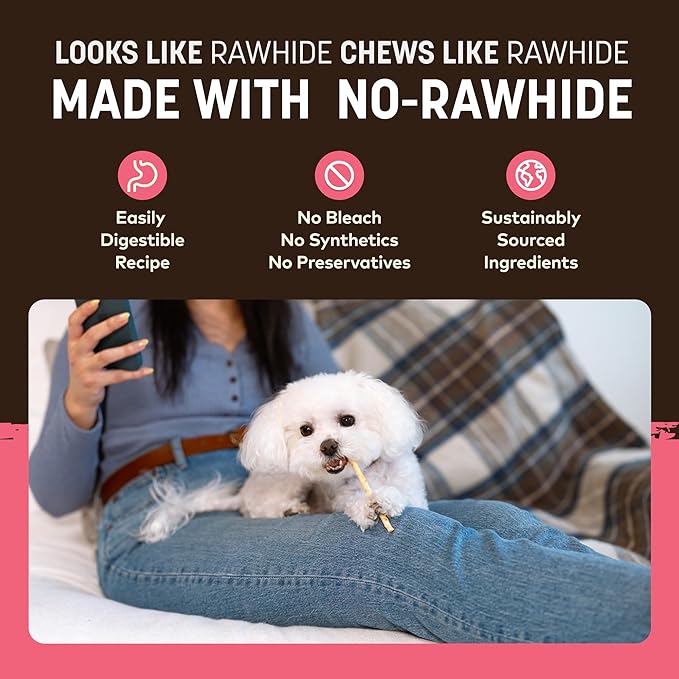 Earth Animal No Hide Stix - Long Lasting Rawhide Free Small Dog Chews Sticks, Salmon - 40 Count Extra Value Pack