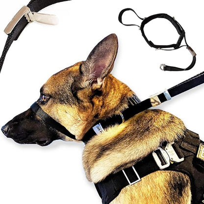 PetsProMax No-Pull Dog Headcollar for Small Dogs; Instant Stop Pulling; Gentle Training Collar for Dogs; Comfortable, Safe, and Effective Walking/Training Solution (Black, S)