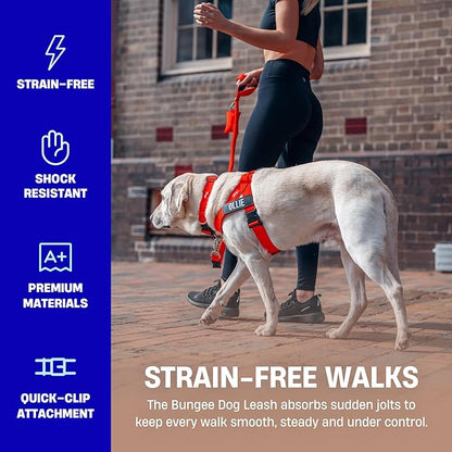 Dog Friendly Co. Bungee Dog Leash | Strain Free & Shock Resistant for Control | Neoprene Padded Handle, Heavy-Duty Carabiner Clip, and D-Ring | Classic Blue, Size Small