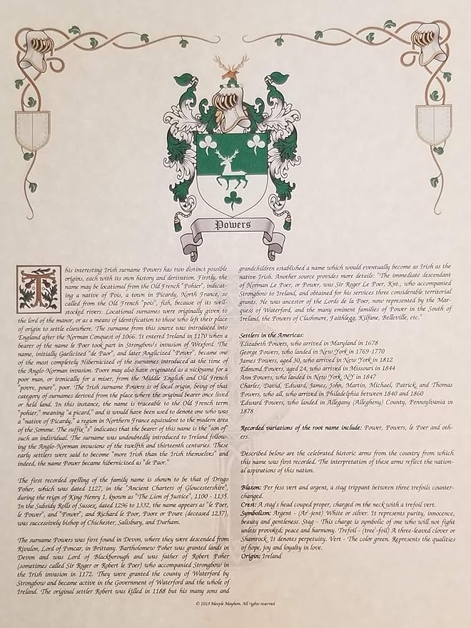 Mr Sweets Wormer - Coat of Arms, Crest & History 3 Print Combo - Surname Origin: Dutch Holland The Netherlands