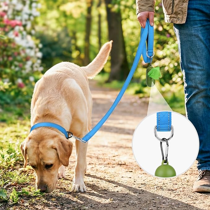 Joytale Dog Leash, 6 FT Double-Sided Reflective, Padded Handle Nylon Heavy Duty Leashes for Medium & Large Dogs Walking, SkyBlue