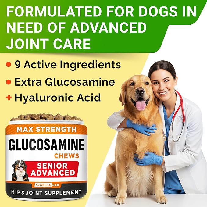 Senior Advanced Glucosamine Joint Supplement for Dogs - Hip & Joint Pain Relief - Small + Large Breeds -Omega-3 Fish Oil - Chondroitin, MSM- Mobility Soft Chews for Older Dogs - Bacon Flavor - 240Ct