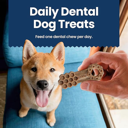 Blue Buffalo Large Dental Chews for Dogs, Daily Dental Care Dog Treats Made in the USA with Natural Ingredients, Chicken & Spearmint (44-oz box, 28 count)
