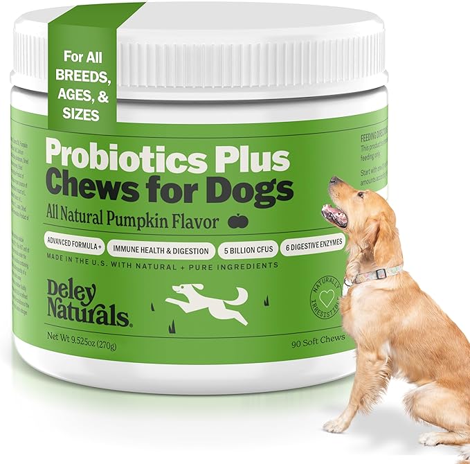 Deley Naturals Probiotics Plus Chews for Dogs - Gut Health Supplement with 5 Billion CFU's & Digestive Enzymes - Prebiotics for Dog Allergies, Diarrhea & Yeast - 90 Count Pumpkin Flavor Made in USA