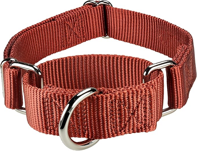 Mikivery Martingale Dog Collar Nylon Adjustable and Safety Training Colourful Comfortable Metal Buckle Pet Collars for Small Medium and Large Dogs(Brick Red,L)