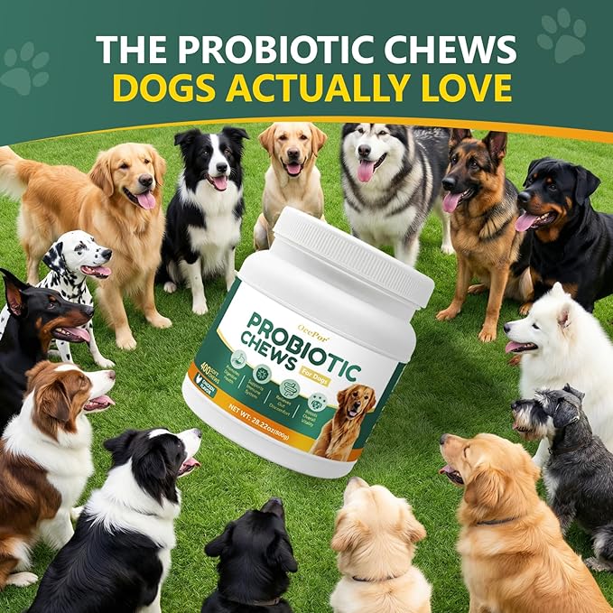 OcePor 400 Pcs Probiotics for Dogs, Dog Probiotics Chews for Yeast, Itchy Skin and Itchy Ears, Digestive Health, Diarrhea Relief, Gut & Immune Support, Pet Supplements (Chicken)