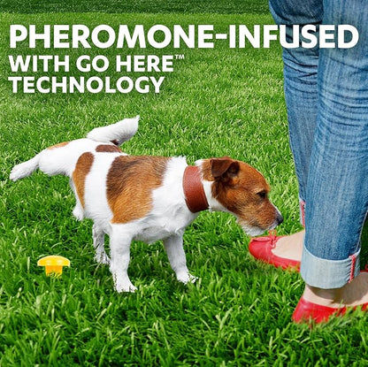 Simple Solution Pee Post Outdoor Dog Training Aid, 13-Inch Pheromone Infused Yard Marking Stake for Puppy Potty Training, Housebreaking, Lawn and Garden Dog Pee Attractant, Reusable Potty Helper