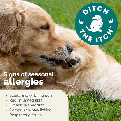 Vetnique DermaBliss Dog Allergy Chews for Seasonal Allergy Itch Relief, Skin & Gut Health with Probiotics and Omega 3 Blend - Advanced or Regular Strength (30ct, Advanced Strength Chews)