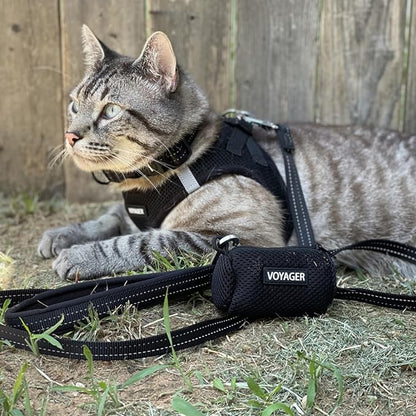Best Pet Supplies Voyager Step-in Air All Weather Mesh Harness and Reflective Dog 5ft Leash Combo with Neoprene Handle, for Small, Medium and Large Breed Puppies - Set (Black), Large