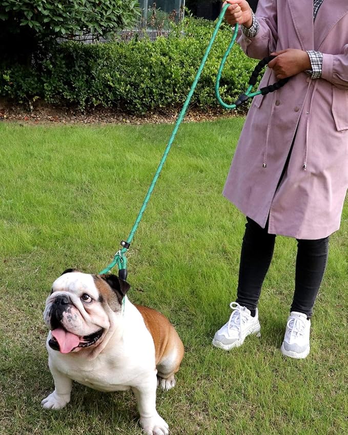 TagME 6ft Slip Dog Lead, No Pull Reflective Training Leash with Padded Handle, Professional Rope P-Leash for Small Medium Large Dogs, Heavy Duty Correction Lead for Walking & Training (Turquoise)