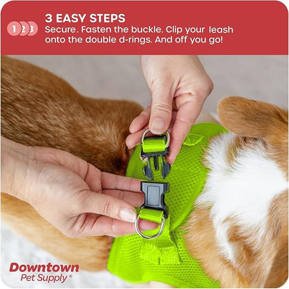 Downtown Pet Supply Step in Dog Harness for Teacup Dogs & Cats No Pull, XX-Small, Atomic Yellow - Adjustable Harness with Padded Mesh Fabric and Reflective Trim - Buckle Strap Harness for Dogs