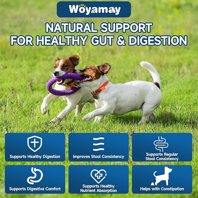 Woyamay Dog Probiotic for Dogs, 200 Soft Treats Dog Probiotics for Digestive Health & Immune System, Probiotic Chews for Dogs, Support Gut Health|Itchy Skin|Diarrhea|Gas Relief Treatment