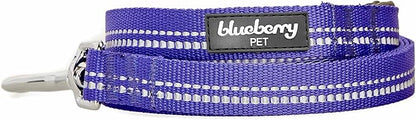 Blueberry Pet 3M Reflective Pastel Color Dog Leash with Soft & Comfortable Handle, 5 ft x 5/8", Violet, Small, Leashes for Dogs