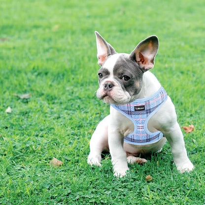 SCENEREAL Puppy Dog Harness with Leash Set for Small Medium Sized Dogs, Soft Mesh Pet Harnesses and Leash, No Chock Plaid Adjustable No Pull Vest for Dogs Cats, Chihuahua,Bulldog (Blue XS)