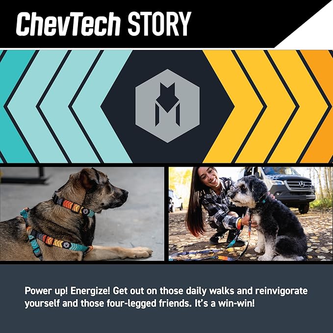 Wolfgang Heavy Duty Martingale Dog Collar with Quick Release Nylon Buckle for Walking & Training, ChevTech Print, Small