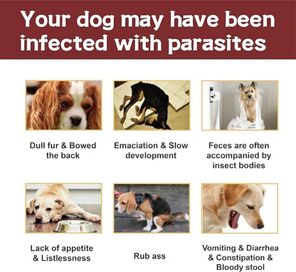 Flea and Tick Prevention for Dogs, Flea and Tick Treatment for Extra Large Dog, Flea & Tick Control, 89-132 Pounds, 6 Doses