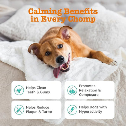 Zesty Paws OraStix for Dogs - Calming Dental Sticks for Stress with Hemp Melatonin Chamomile Dog Healthy Teeth and Gums Calm Composure for Fireworks and Thunderstorms - 25oz