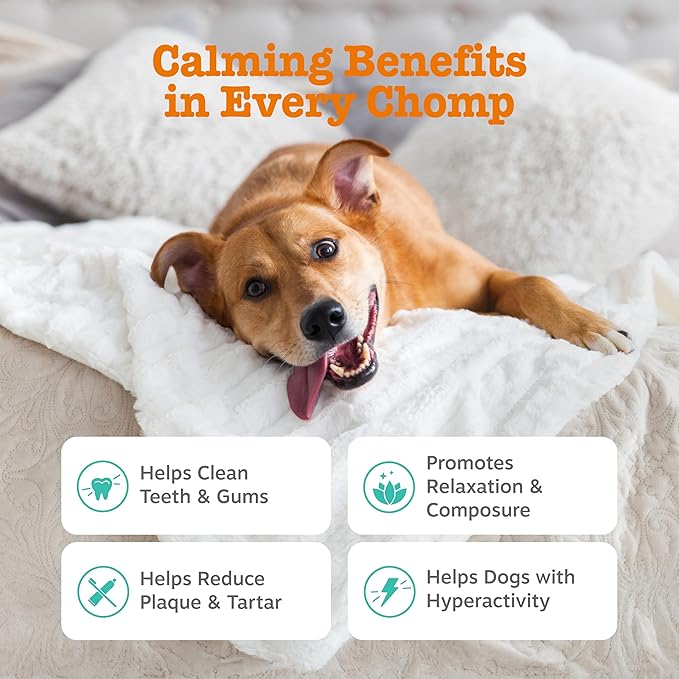 Zesty Paws OraStix for Dogs - Calming Dental Sticks for Stress with Hemp Melatonin Chamomile Dog Healthy Teeth and Gums Calm Composure for Fireworks and Thunderstorms - 12oz
