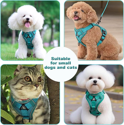 SOLMOONY Small Dog Harness,Soft Mesh Puppy Harness and Leash Set,No Escape Cat Harnesses for Training Walking,Reflective Adjustable Puppy Vest for Small Medium Dogs, Cats (Turquoise, M)