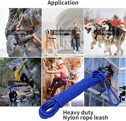 Long Dog Leash for Training 20Ft-Reflective Nylon Rope with Swivel Hook-Recall Agility Lead for Large Small Medium Dogs Outside Walking Hiking-Royal Blue