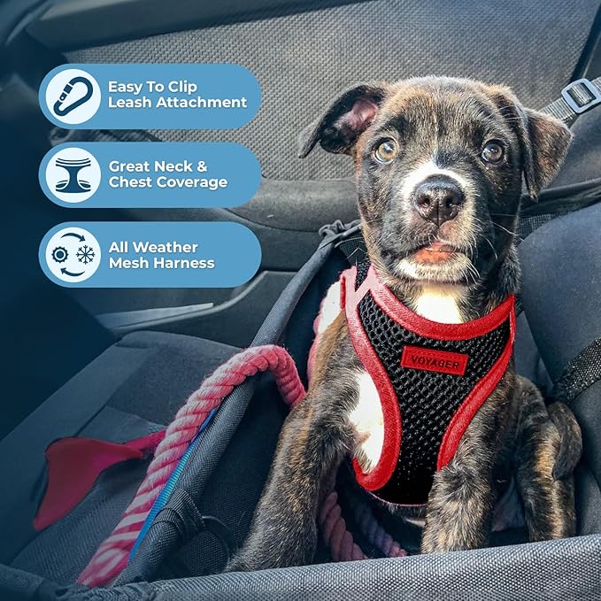Best Pet Supplies - All Weather Mesh/Plush, Reflective, No Pull Harness for Small, Medium Dogs, Cats - Secure with Hook & Loop Fastener, Buckle, Double D-Rings - Black/Red Trim, S