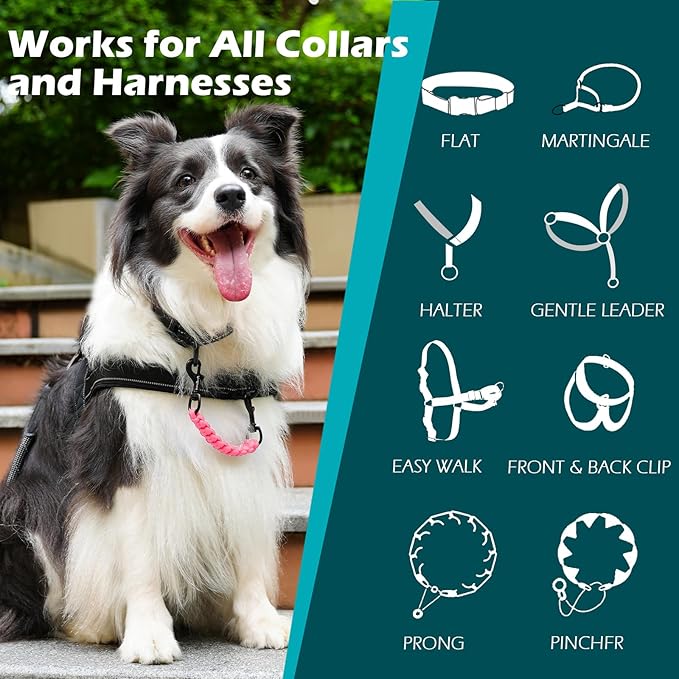 PetBonus Dog Collar Safety Clip, Handmade Backup Safety Strap for Dog Harness, Prong, Pinch Collar, Double Ended Clasp Leash Connector (Pink)