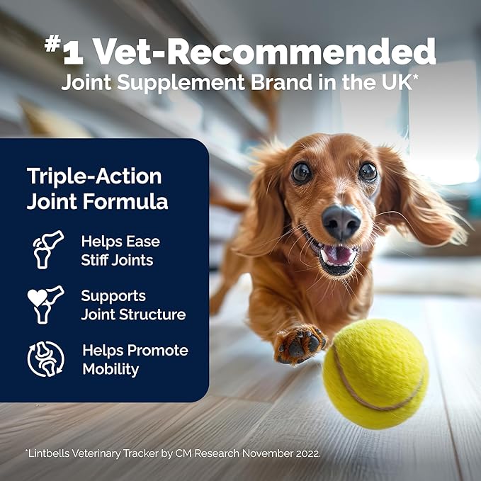 YuMOVE Hip & Joint Supplement for Dogs with Glucosamine, Hyaluronic Acid, Green Lipped Mussel & Omega 3 Joint Supplement - Regular or Advanced Strength (180ct Chews, Advanced Strength)