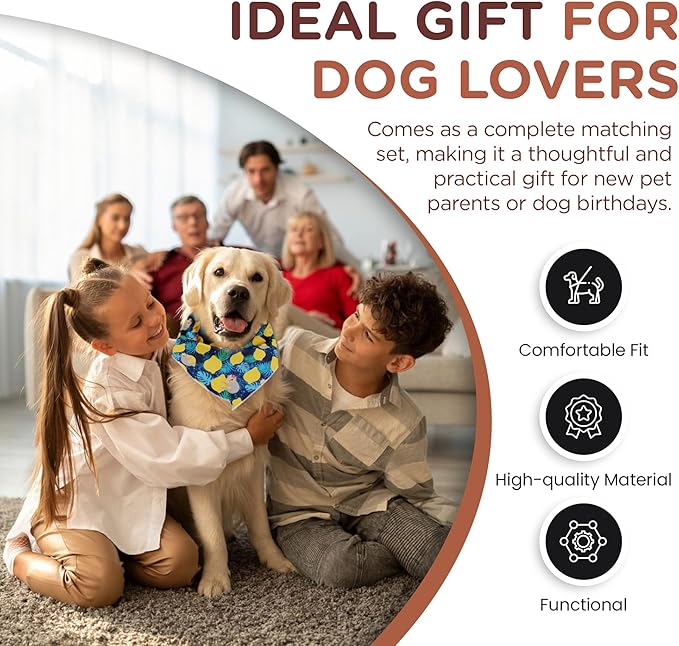 No Pull Harness and Leash Set - 6-in-1 Adjustable Vest Harness and Collars for Medium and Large Dogs. (Lemon, Extra Small)