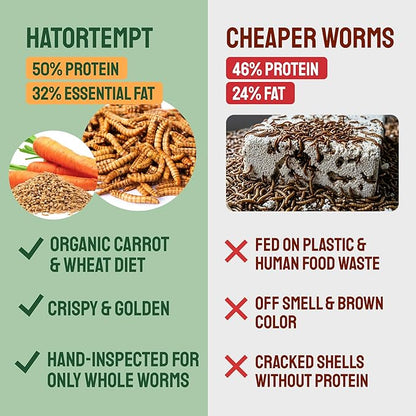 Hatortempt 20lb Dried Mealworms for Chickens - 50% Protein and 32% Essential Fats to Support Healthy Feather Growth During Molt - Organic Treats for Chickens, Ducks, Wild Birds & Reptiles
