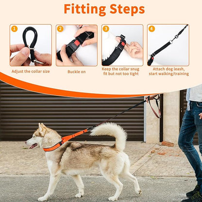 Mayerzon Martingale No Pull Collar for Medium Large Dogs, Patented Anti Pull Dog Collar with Buckle for Walking Training, with Neoprene Padding and Reflective Stitching, Adjustable(Sunset Orange, M)