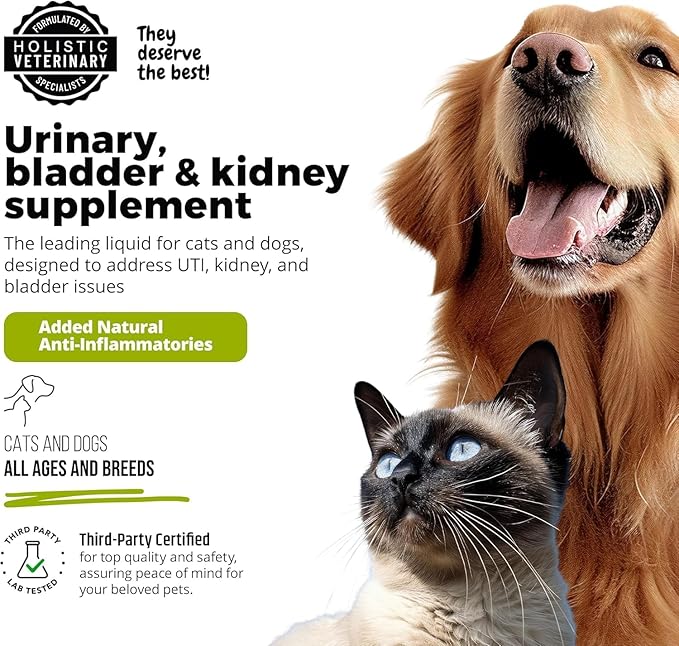UroMAXX, Cat & Dog Urinary Tract Treatment, Bladder & Kidney Support for Dogs and Cats, Powerful Yet Gentle Pet Care, with Liquid Cranberry & Glucosamine, Salmon Flavor, 6 oz Bottle, 1 Pack