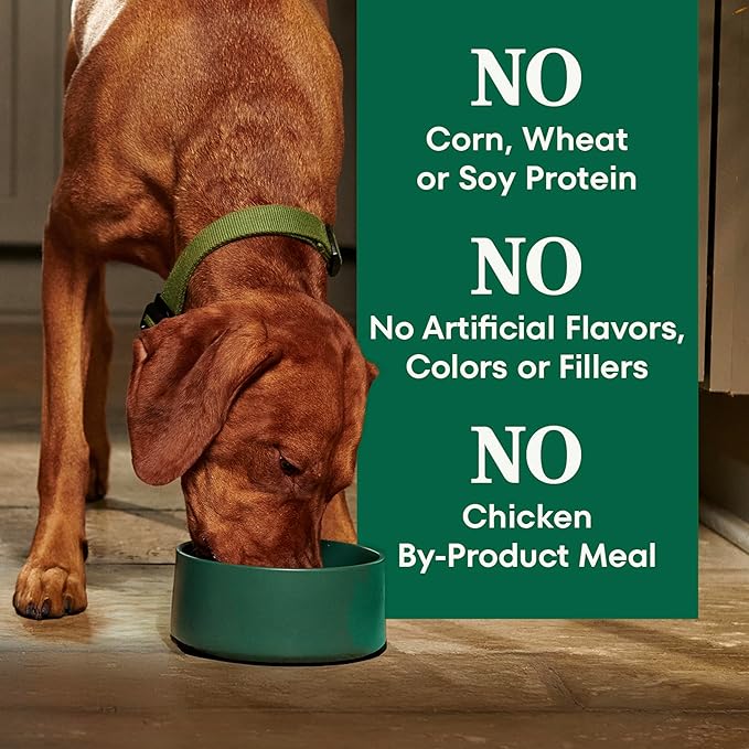Nutro Natural Choice Dry Dog Food, Adult Dog Food Dry Beef and Brown Rice Recipe, 12 lbs.