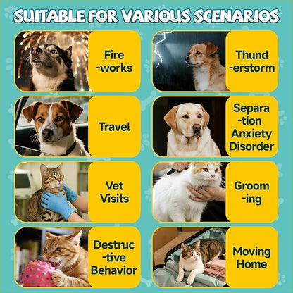 2Pack Calming Drops for Dogs & Cats - Cat Calming Treats for Anxiety Relief , Relaxation, Sleep Aid with Schisandra Taurine , Separation, Soothing Calming Care for Indoor Pet -Roast Chicken Flavor
