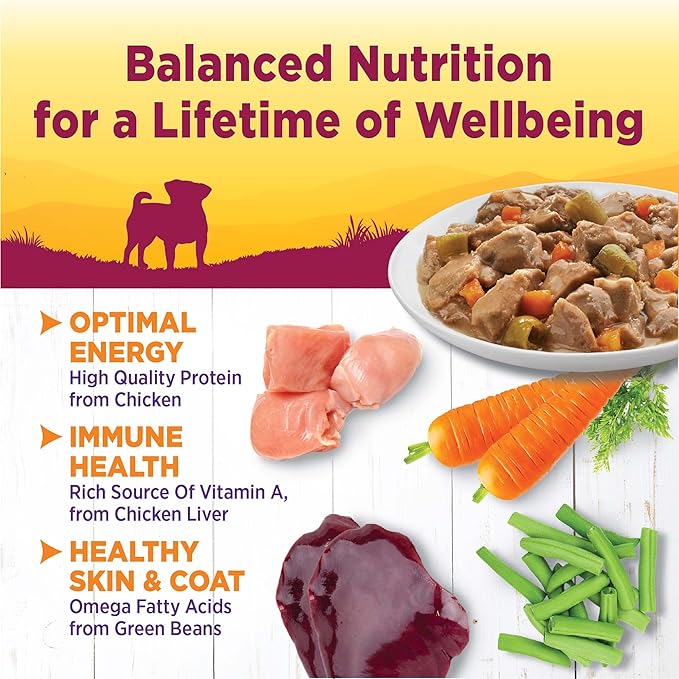 Wellness Petite Entrees Mini Filets Small Breed Adult Wet Dog Food, Grain Free, Natural, Roasted Chicken, Beef, Carrots, and Green Beans, 3 oz, Pack of 12 Cups