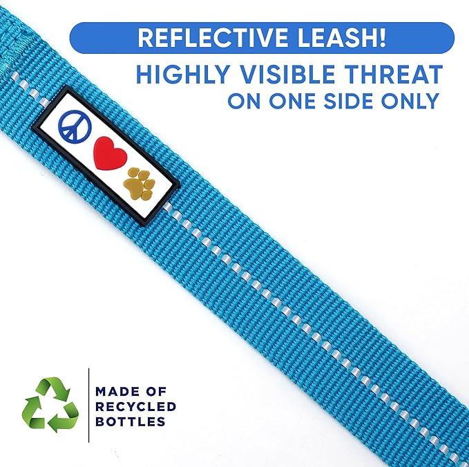 Pawtitas Teal Dog Leash 6 ft XS/S Reflective Durable Lightweight Recycled Lead for Small Dogs and Puppies