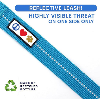 Pawtitas Teal Dog Leash 6 ft XS/S Reflective Durable Lightweight Recycled Lead for Small Dogs and Puppies
