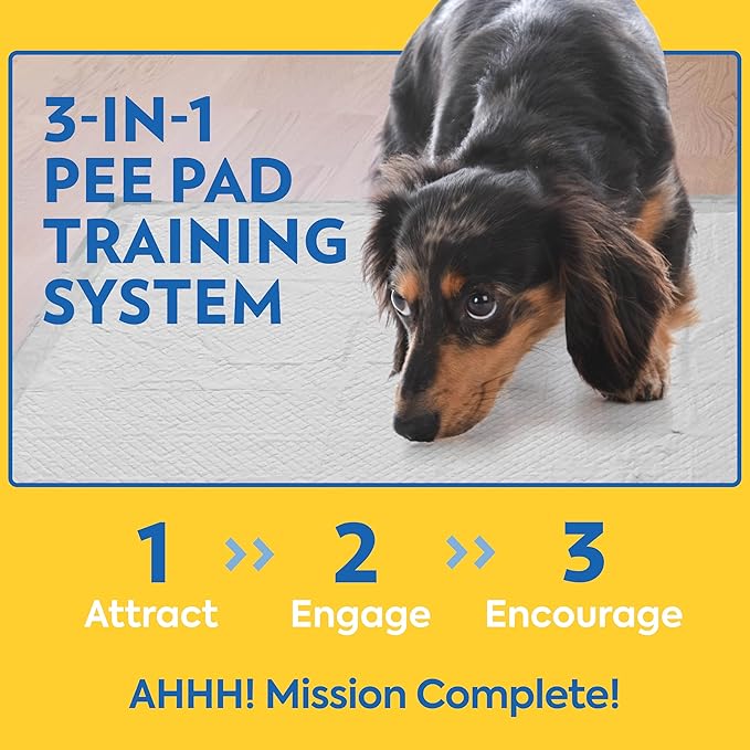 OUT! Petcare Puppy Pads XXL, Heavy Duty, Leak Proof Pee Pads for Dogs, Potty Training & Housebreaking, Puppy Essentials (26"x30", 30 Count)
